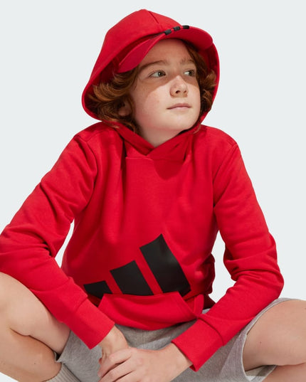 POLERON UNISEX NIÑOS ADIDAS BL FT HD