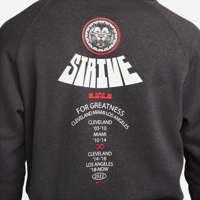 POLERON NIKE LJ HOODIE PO