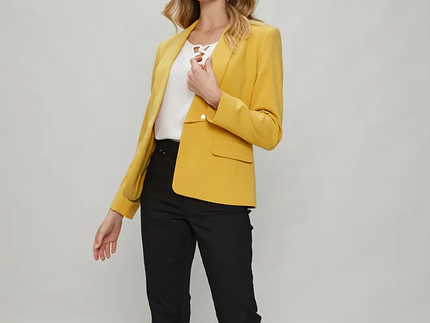 BLAZER MA GRIFFE LISO