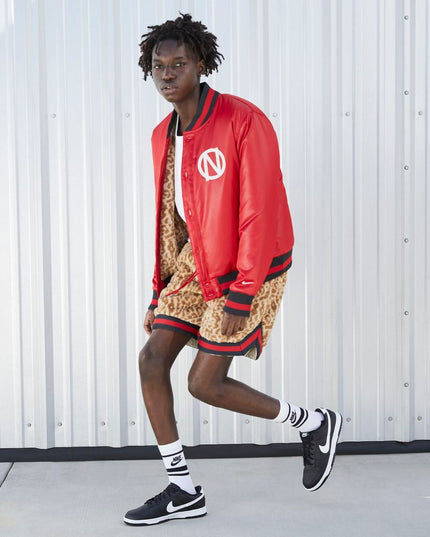 ZAPATILLA NIKE DUNK LOW RETRO