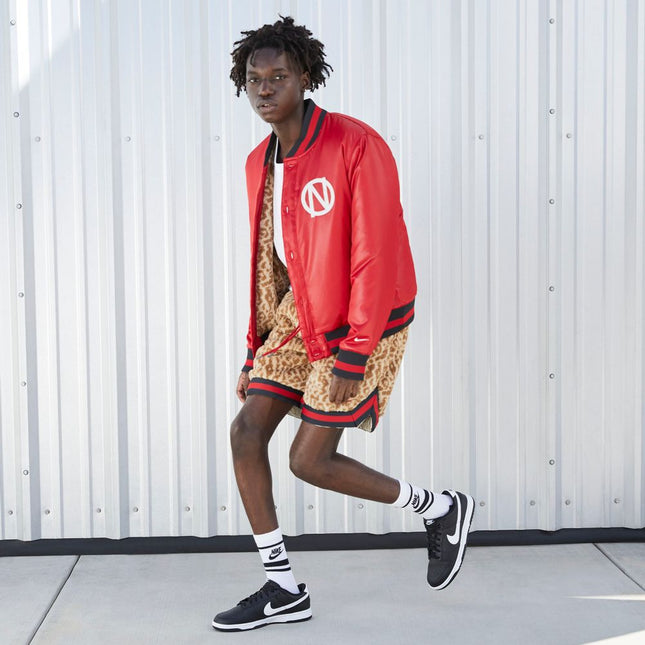 ZAPATILLA NIKE DUNK LOW RETRO