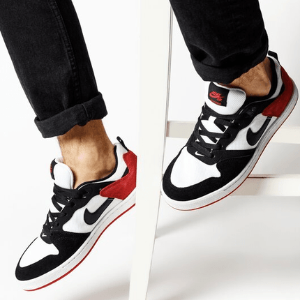 ZAPATILLA NIKE SB ALLEYOOP