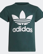 5A / VERDE